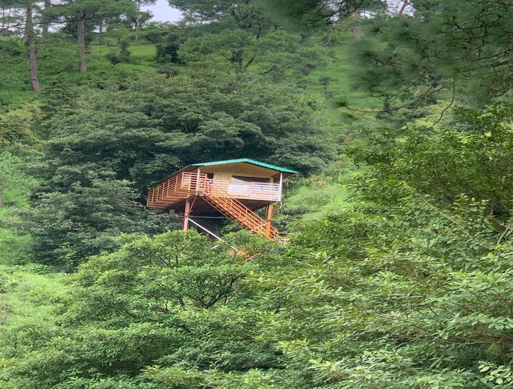 The Cocoon Camps & Nature Resorts Nainital Eksteriør billede