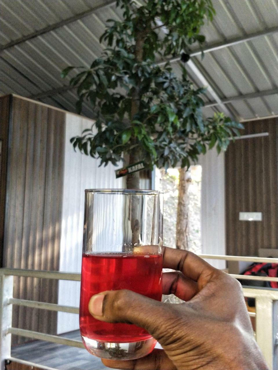 The Cocoon Camps & Nature Resorts Nainital Eksteriør billede